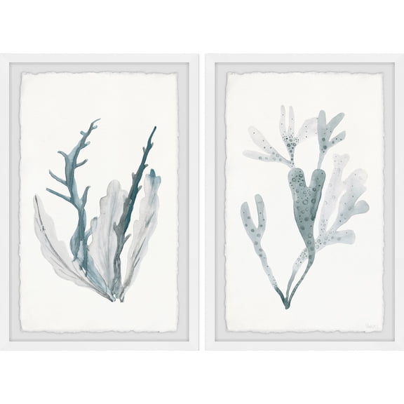 Parvez Taj Printed Animals & Insects Framed Art Prints, Set of 2