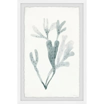 Parvez Taj Printed Animals & Insects Framed Art Prints