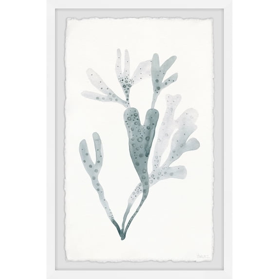 Parvez Taj Printed Animals & Insects Framed Art Prints