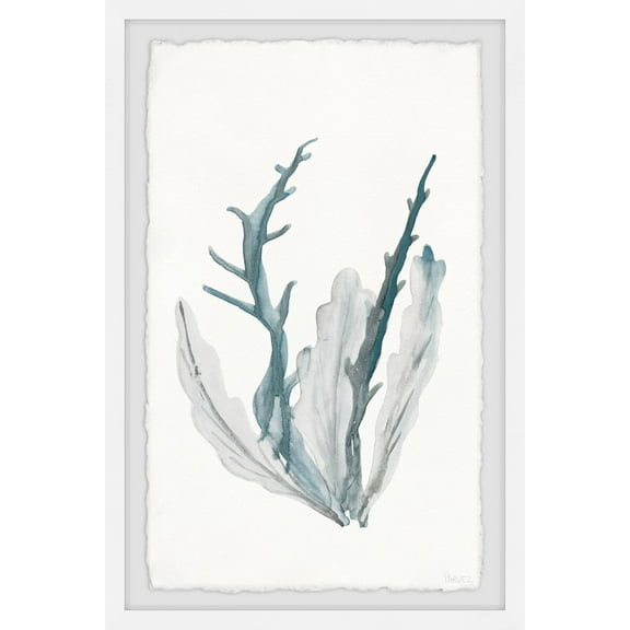 Parvez Taj Printed Animals & Insects Framed Art Prints