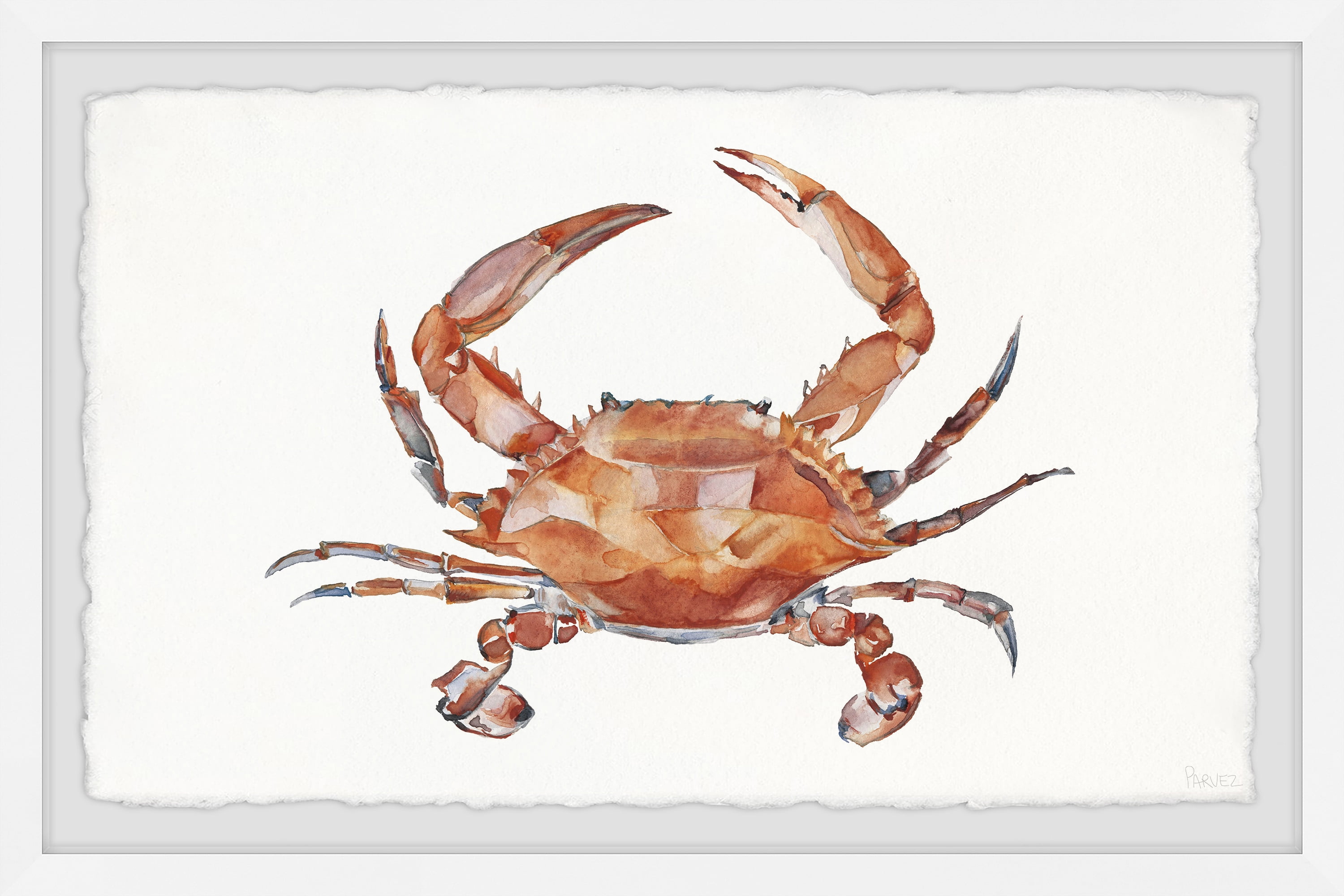 Parvez Taj Printed Animals & Insects Framed Art Prints