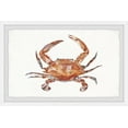 thumbnail image 1 of Parvez Taj Printed Animals & Insects Framed Art Prints, 1 of 6