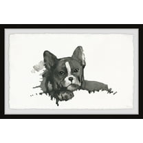 Parvez Taj Printed Dog Framed Art Prints