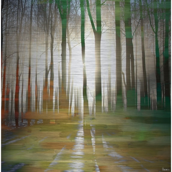 Parvez Taj Printed Fine Art Art Prints