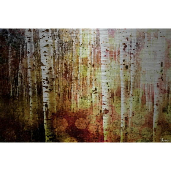 Parvez Taj Printed Fine Art Trees Art Prints