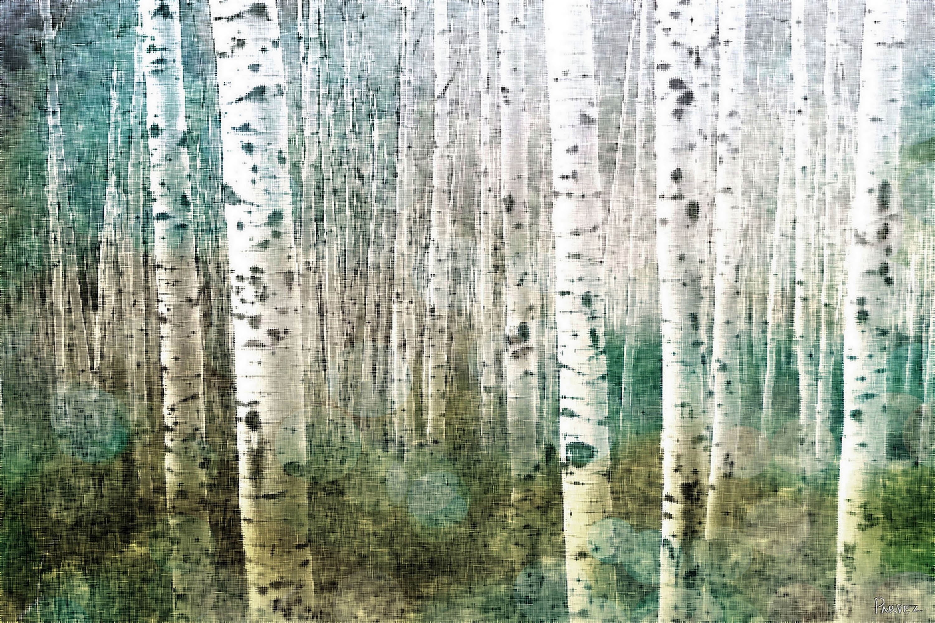 Aspen Green Landscape Canvas Print with Wood Frame, 24" x 36"