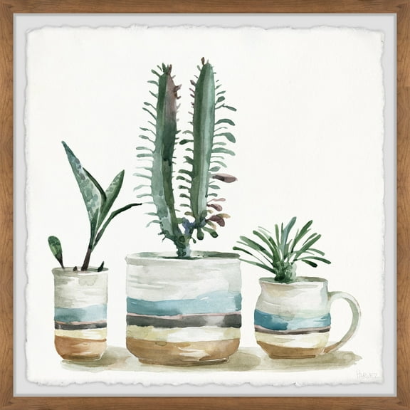 Parvez Taj Printed Plants Framed Art Prints