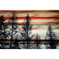 Parvez Taj Pt-Cnpw-140-C-24 16" X 24" "Trees Against Red Striped Sky" Art Print On