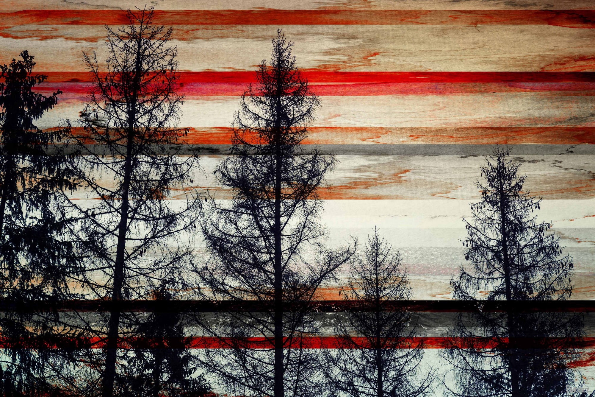 Parvez Taj "trees Against Red Striped Sk