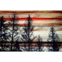 Parvez Taj Pt-Cnpw-140-C-36 24" X 36" "Trees Against Red Striped Sky" Art Print On