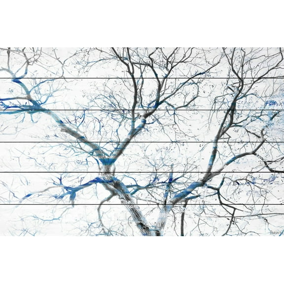 Parvez Taj Pt-Wnpw-117-Ww-45 30" X 45" "Blue Branches" Art Print On White Wood