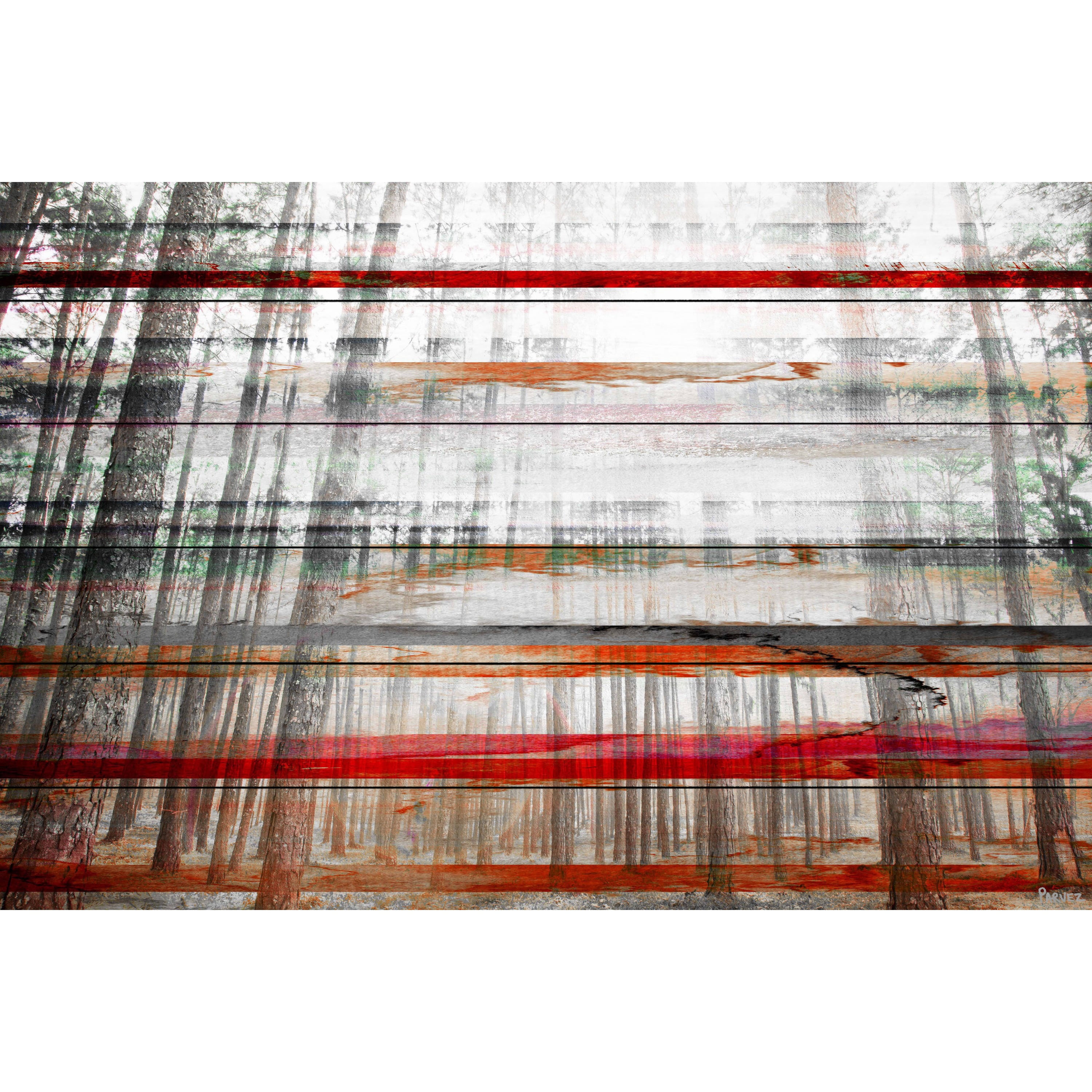 Parvez Taj Pt-Wnpw-137-Ww-36 24" x 36" "Gray Trees" Art Print On White Wood