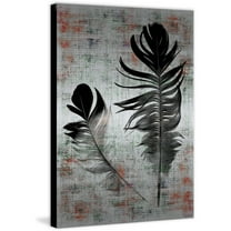 Parvez Taj Pt-Wnpw-145-Al-45 45" X 30" "Black Feathers" Art Print On Aluminum