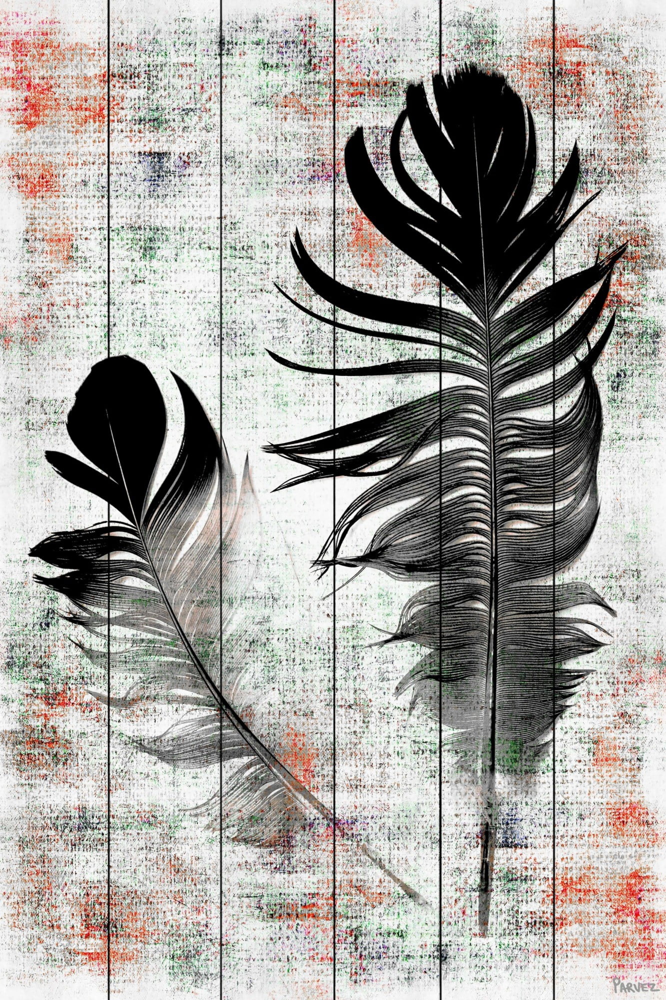 Parvez Taj Pt - Wnpw - 145 - Ww - 36, 36" x 24" "Black Feathers" Art Print On White Wood