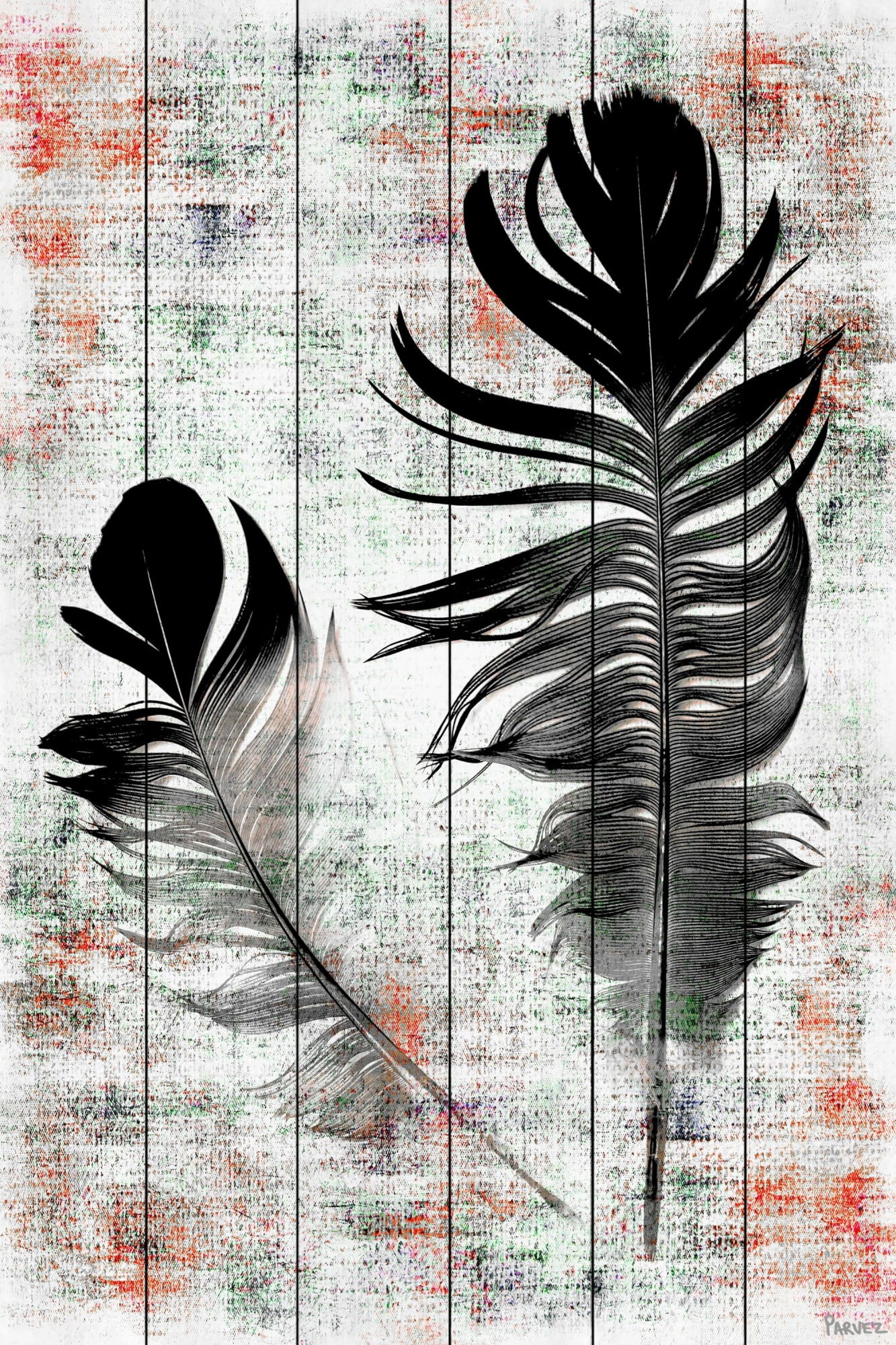 Parvez Taj Pt-Wnpw-145-Ww-45 45" x 30" "Black Feathers" Art Print on White Wood