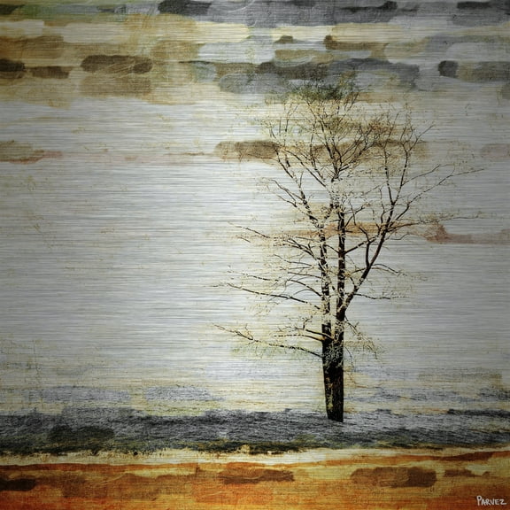 Parvez Taj Pt-Wnpw-49-Al-24 24" x 24" "Lone Tree" Art Print On Aluminum