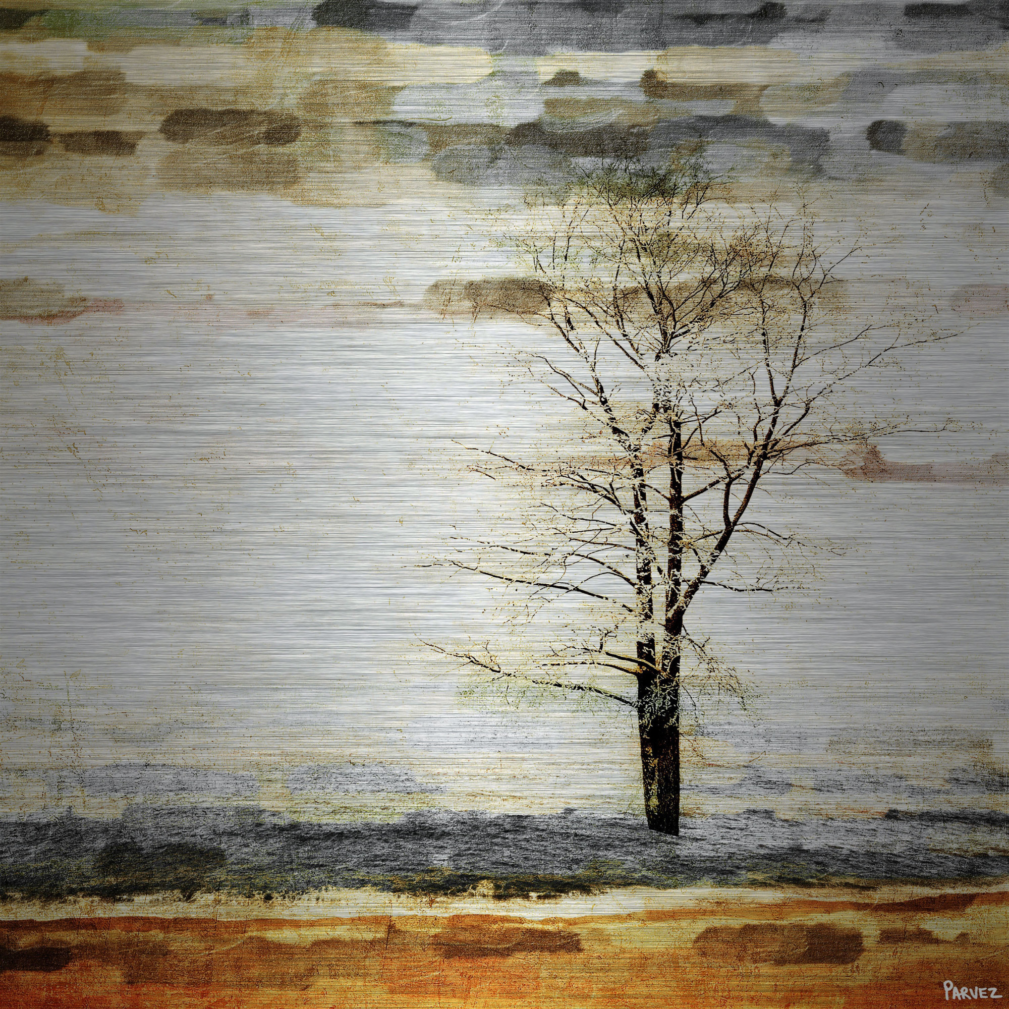 Parvez Taj Pt-Wnpw - 49 - Al - 40, 40" x 40" "Lone Tree" Art Print On Aluminum