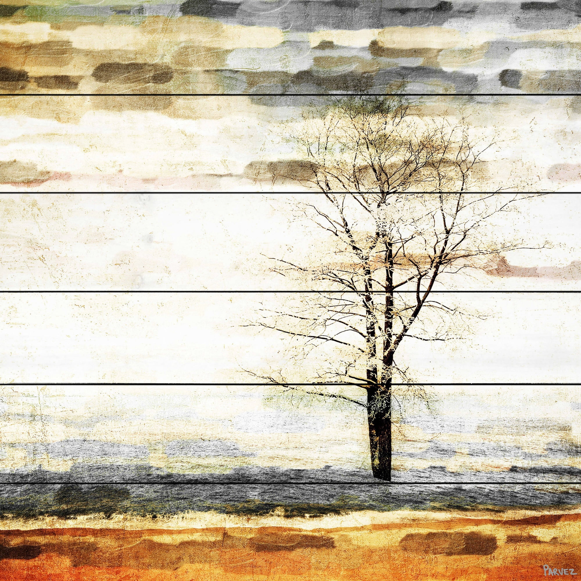 Parvez Taj Pt-Wnpw-49-Ww-40 40" x 40" "Lone Tree" Art Print On White Wood