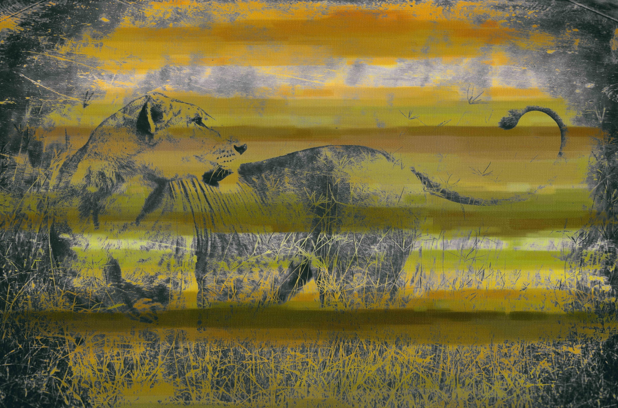 Parvez Taj "Queen of the Jungle" Print on Canvas