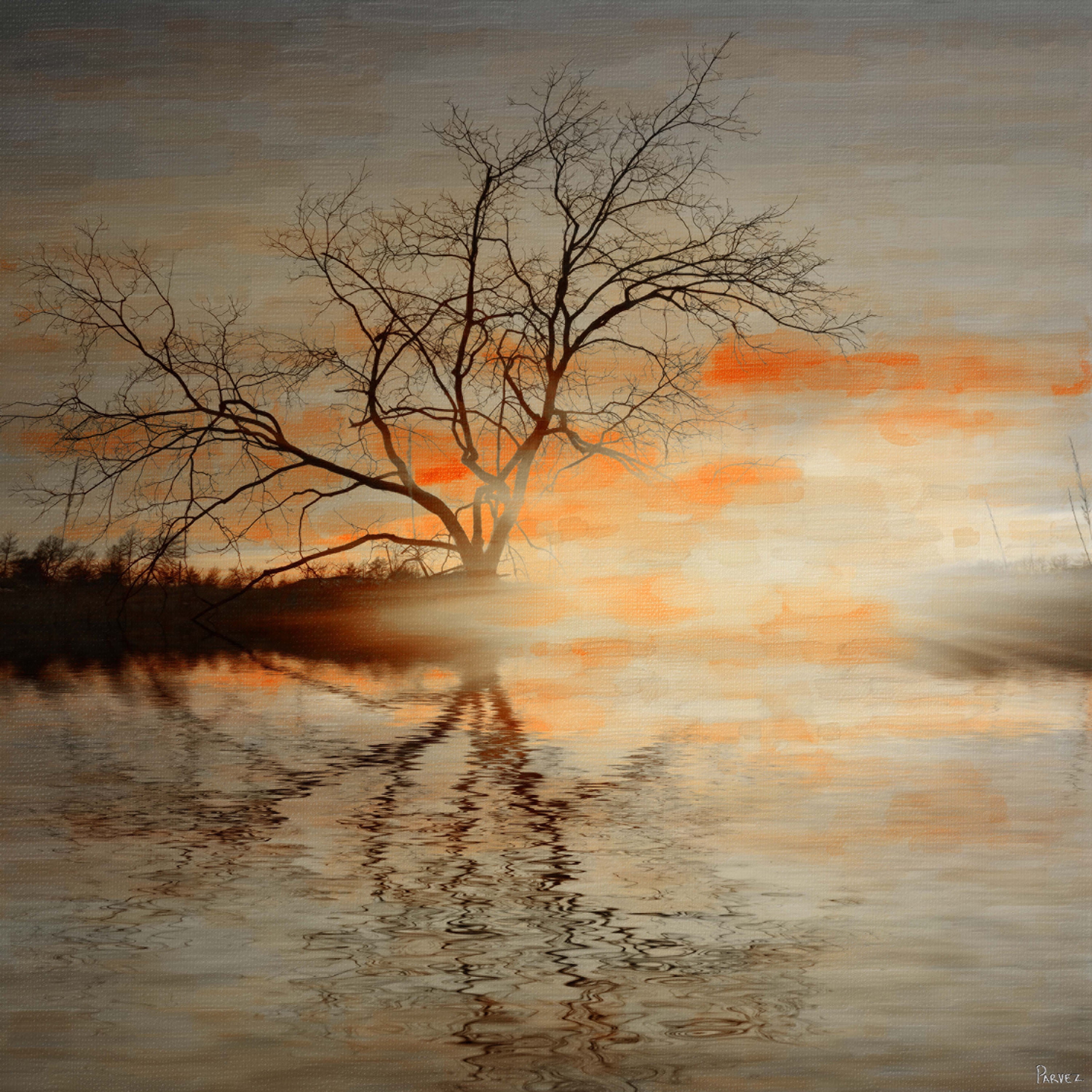 Parvez Taj Red Leafs B Canvas Wall Art, 40" x 40"