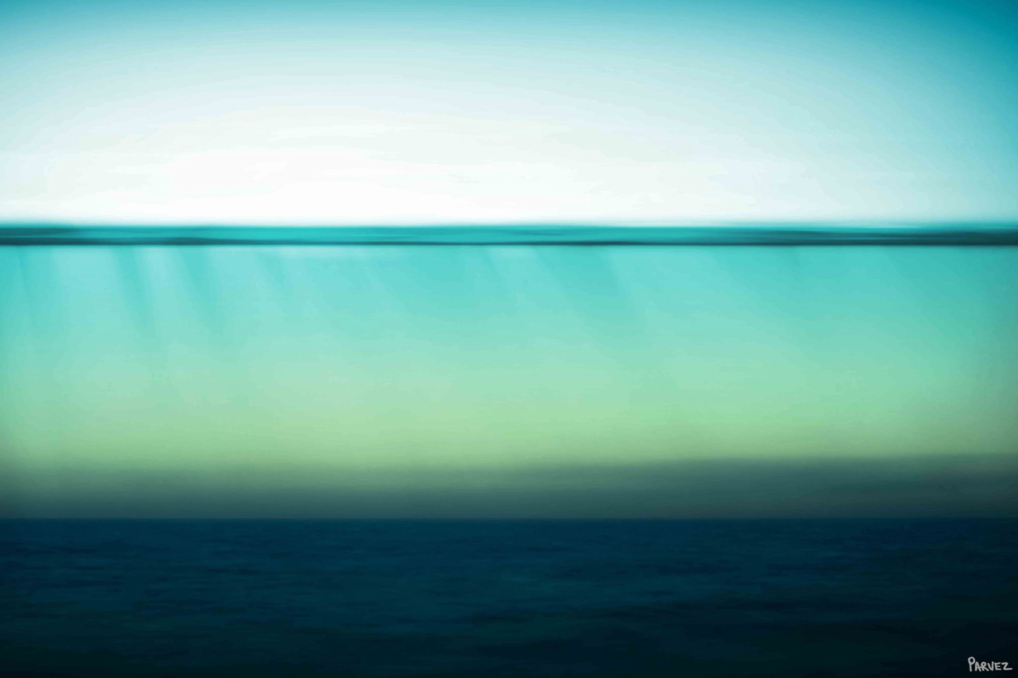 Parvez Taj "Serene Water" Print on Canvas