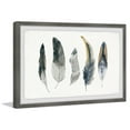 thumbnail image 1 of Parvez Taj Shaded Feathers Framed Wall Art, 1 of 5
