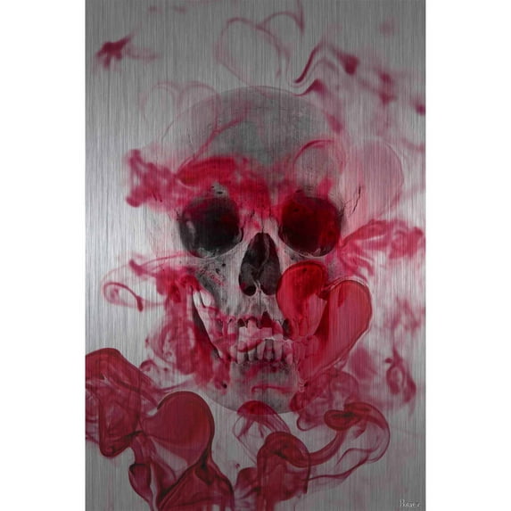 Parvez Taj Skull Fine Art Art Prints