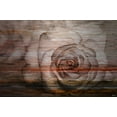 thumbnail image 1 of Parvez Taj Sleeping Rose Art Print on Brushed Aluminum, 1 of 7