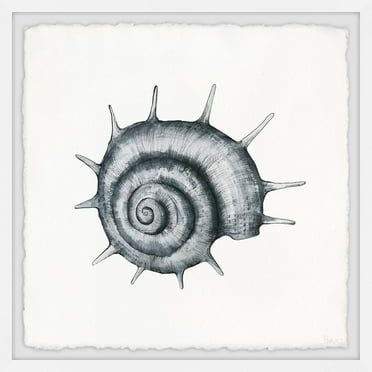 Parvez Taj Spiky Seashell Framed Wall Art
