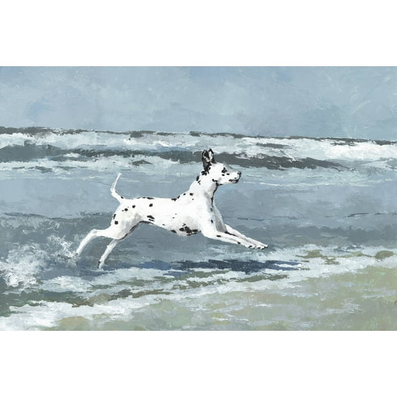 Parvez Taj Splashing Dalmatian Canvas Wall Art