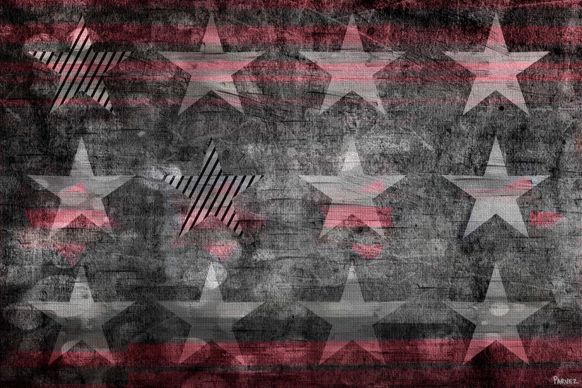 Parvez Taj "Star Flag" Print on Canvas