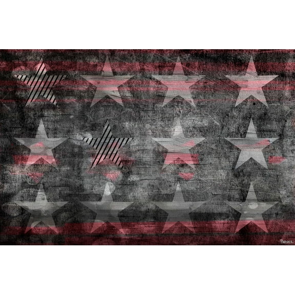 Parvez Taj "Star Flag" Print on Canvas