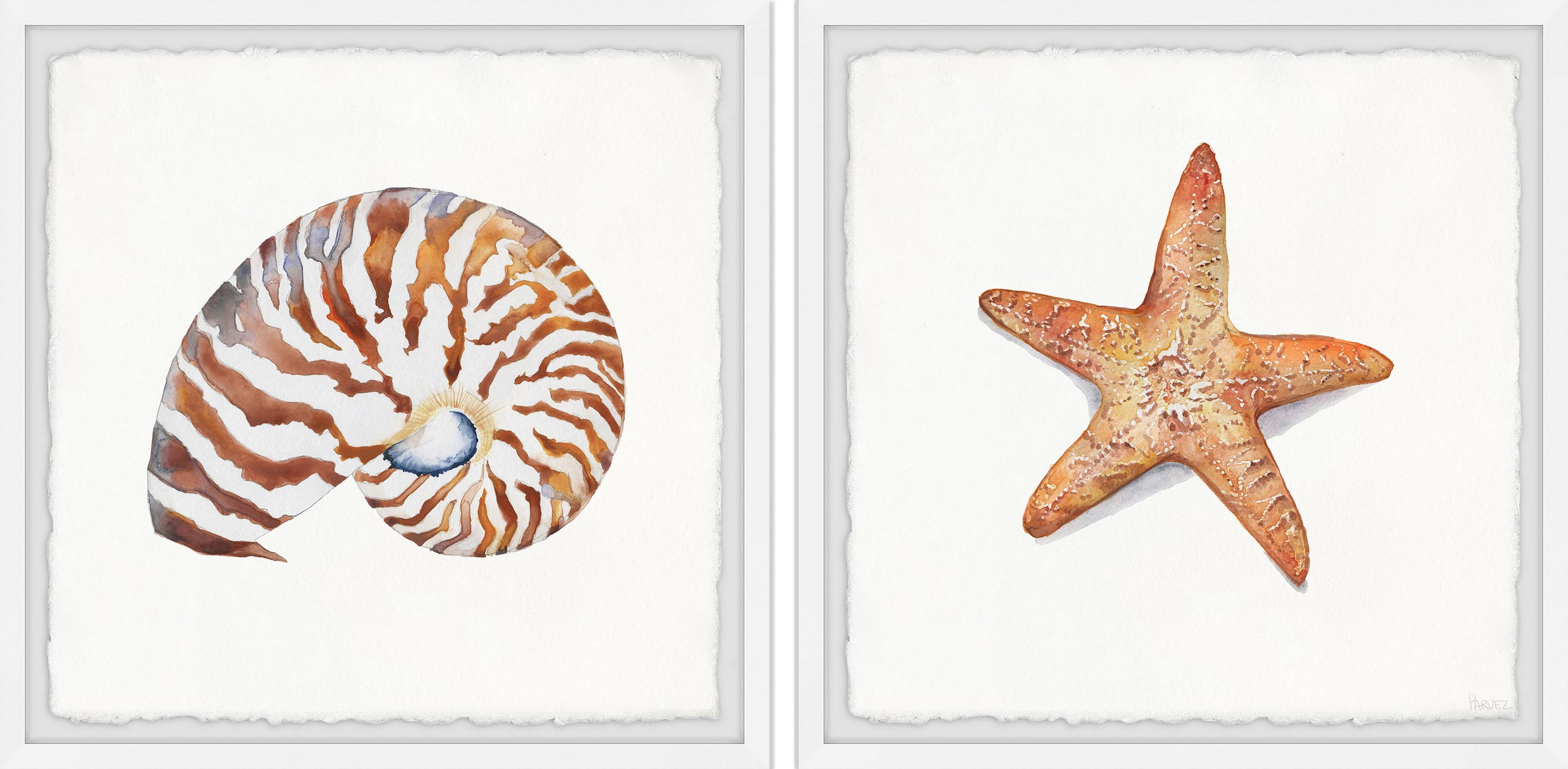 Parvez Taj Starry Shell Diptych