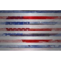 Parvez Taj "Striped Glory" Print on Brushed Aluminum