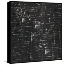 Parvez Taj Swift Reaction Floater Framed Painting Print on Canvas