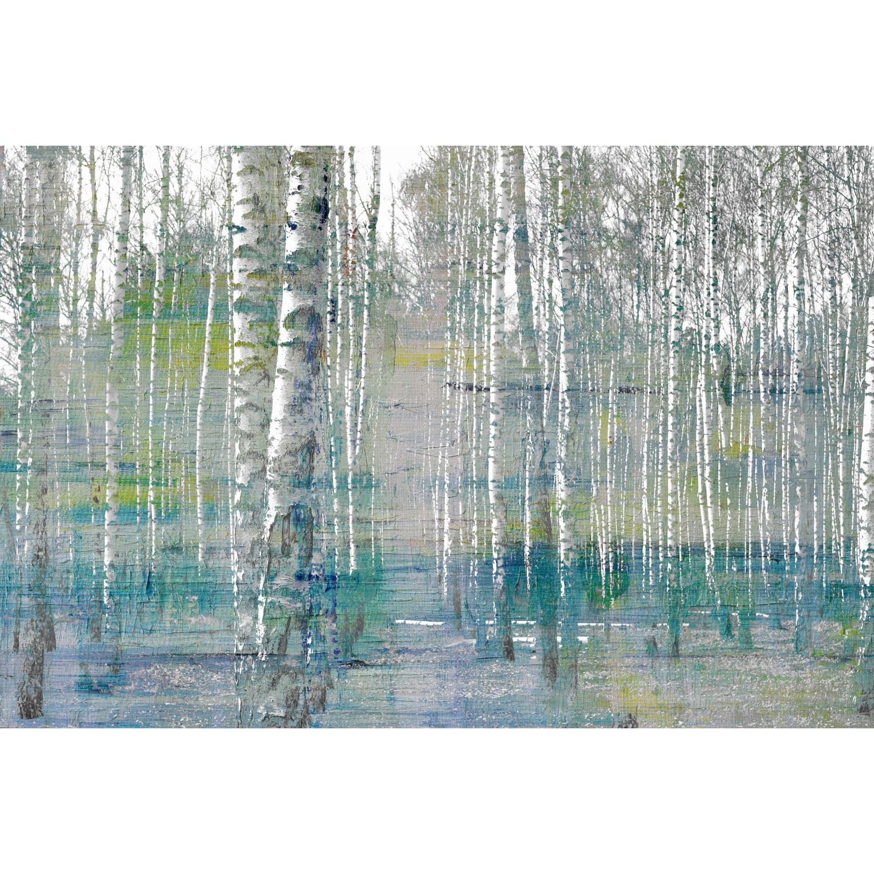 Teal and White Birch Tree Forest Landscape Canvas Print, 18" x 12"