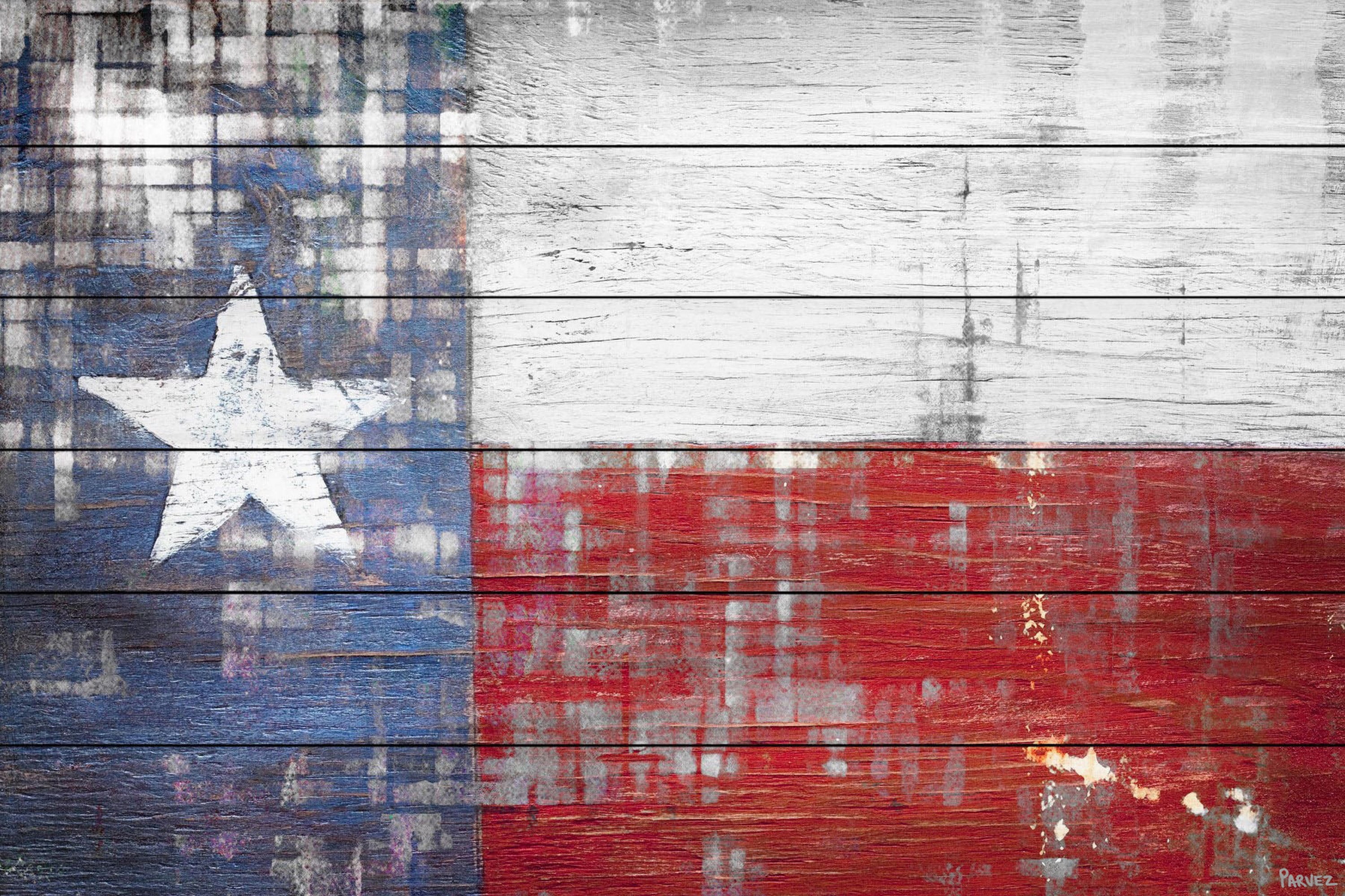 Parvez Taj Texas White Wood Wall Art, 12" x 18"