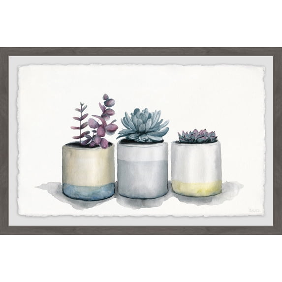 Parvez Taj Three Potted Succulents Framed Painting Print