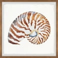thumbnail image 1 of Parvez Taj Tiger Shell Framed Wall Art, 1 of 6