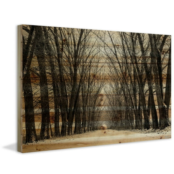 Parvez Taj "Tree Path II" Painting Print on Natural Pine Wood