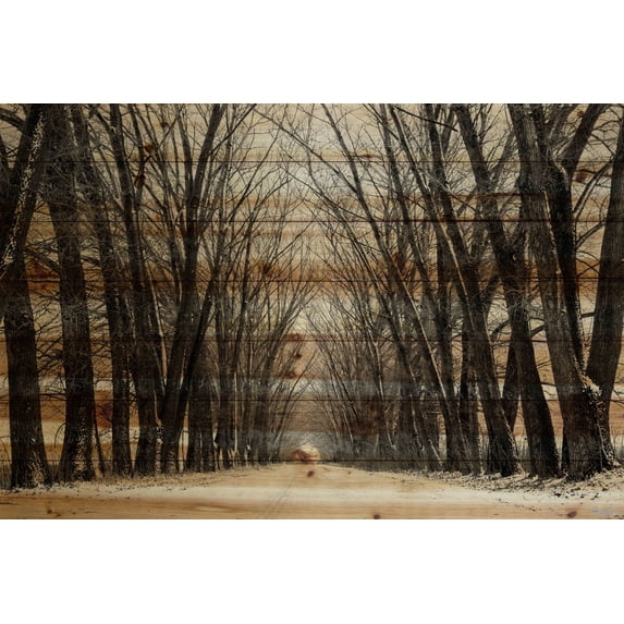 Parvez Taj Tree Path Pinewood Wall Art, 12" x 18"
