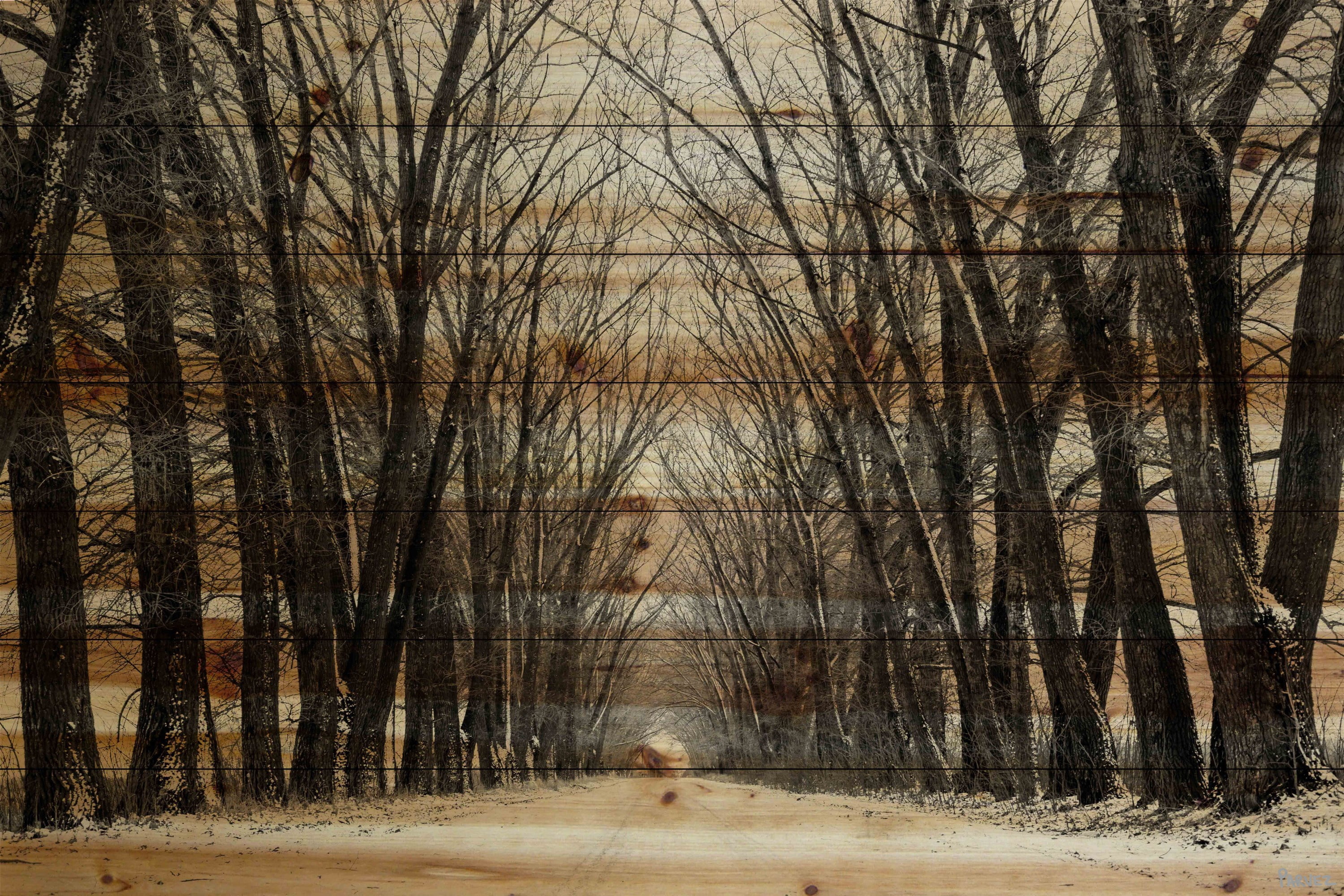 Tree Path Brown and Beige Pinewood Horizontal Wall Art