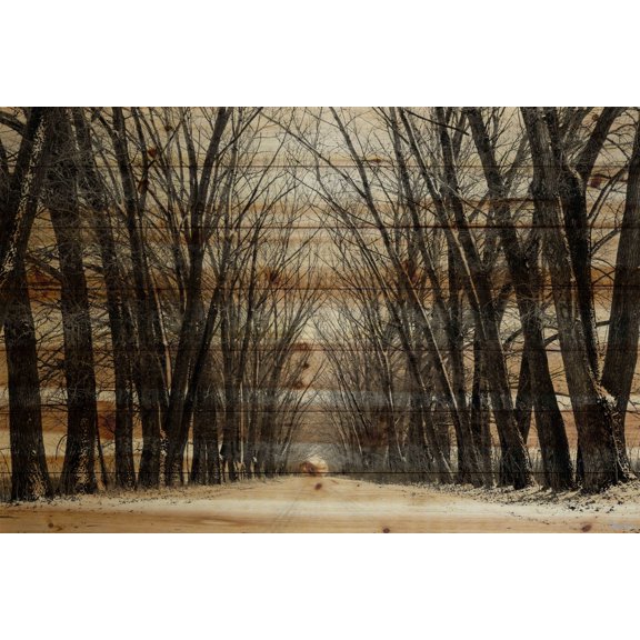 Parvez Taj Tree Path Pinewood Wall Art, 20" x 30"