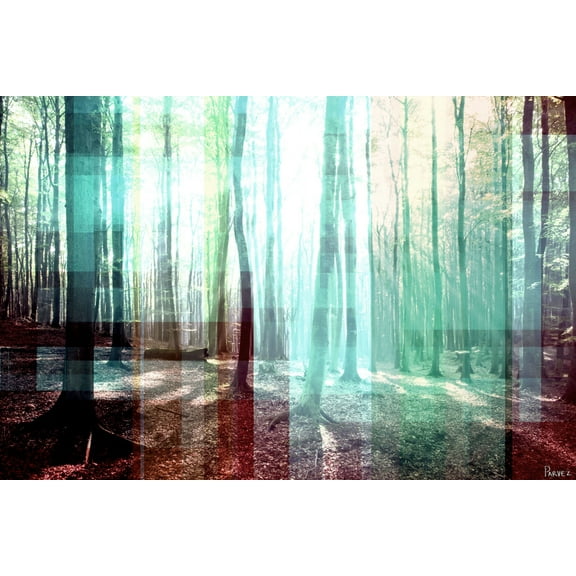 Parvez Taj Tree Rays Art Print on Premium Canvas