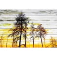 thumbnail image 1 of Parvez Taj  - Trees Against Gold Sky Painting Print on White Wood - Multi-Color 36 x 24, 1 of 5