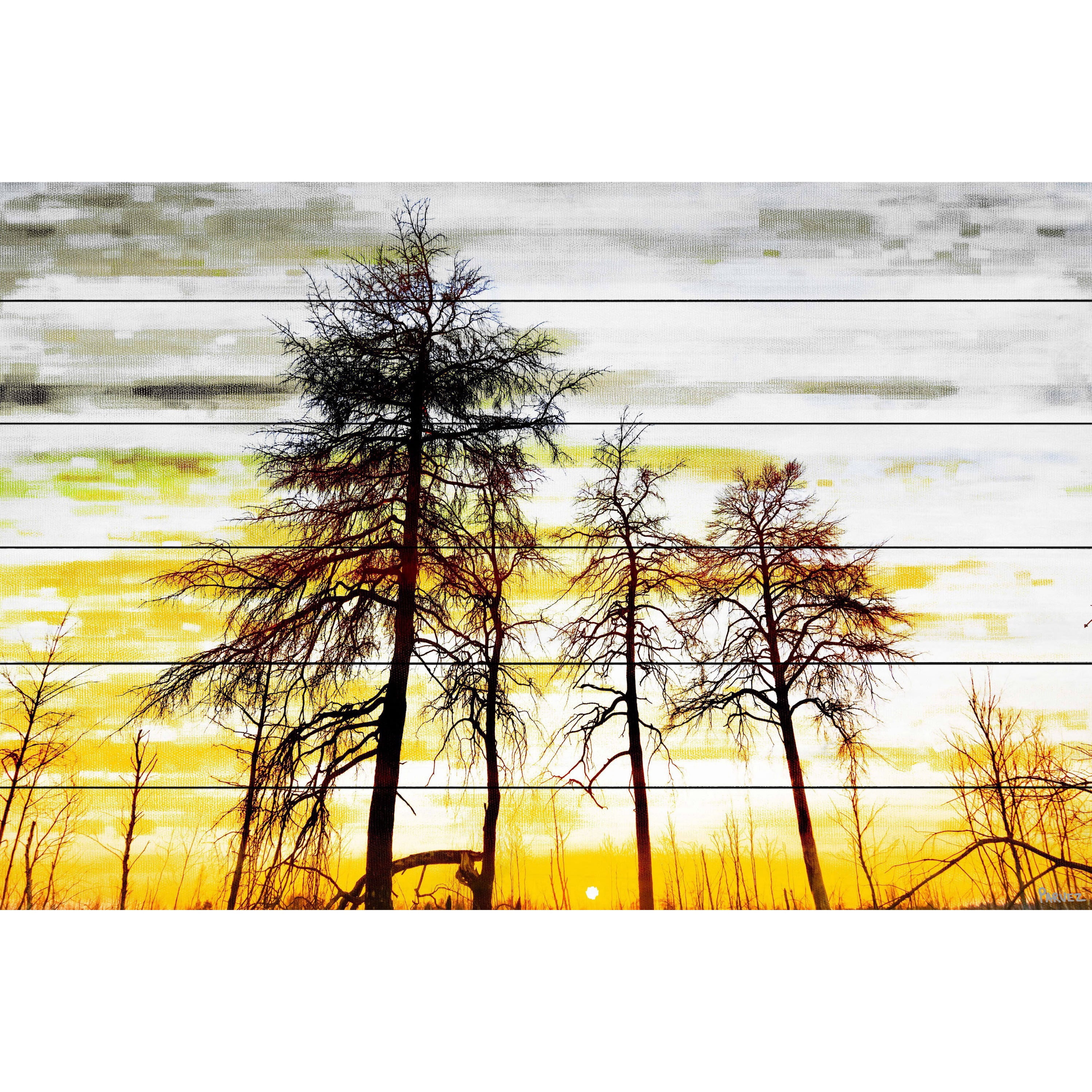 Parvez Taj  - Trees Against Gold Sky Painting Print on White Wood - Multi-Color 60 x 40
