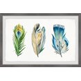 thumbnail image 1 of Parvez Taj Tropical Feathers Framed Wall Art, 1 of 6