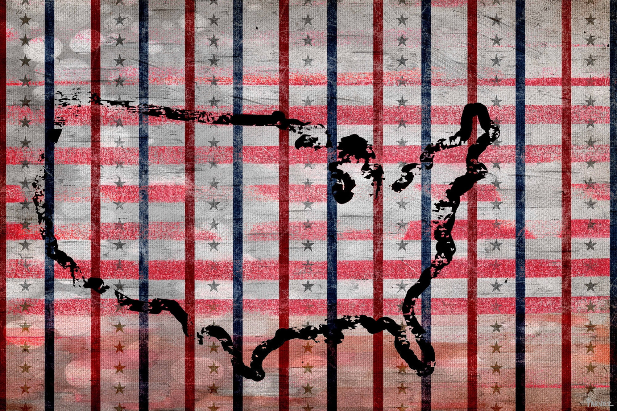 USA Outline Red White and Blue Canvas Print 18" x 12"