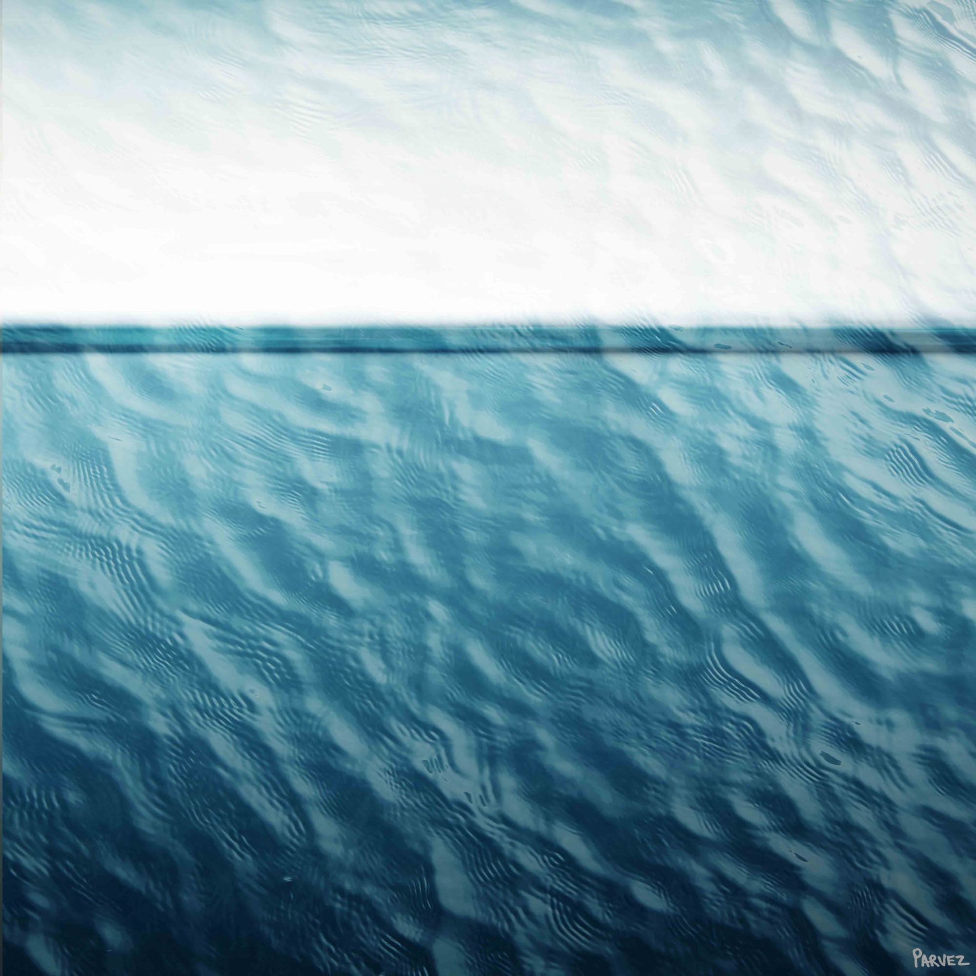 Parvez Taj "Waves" Print on Canvas