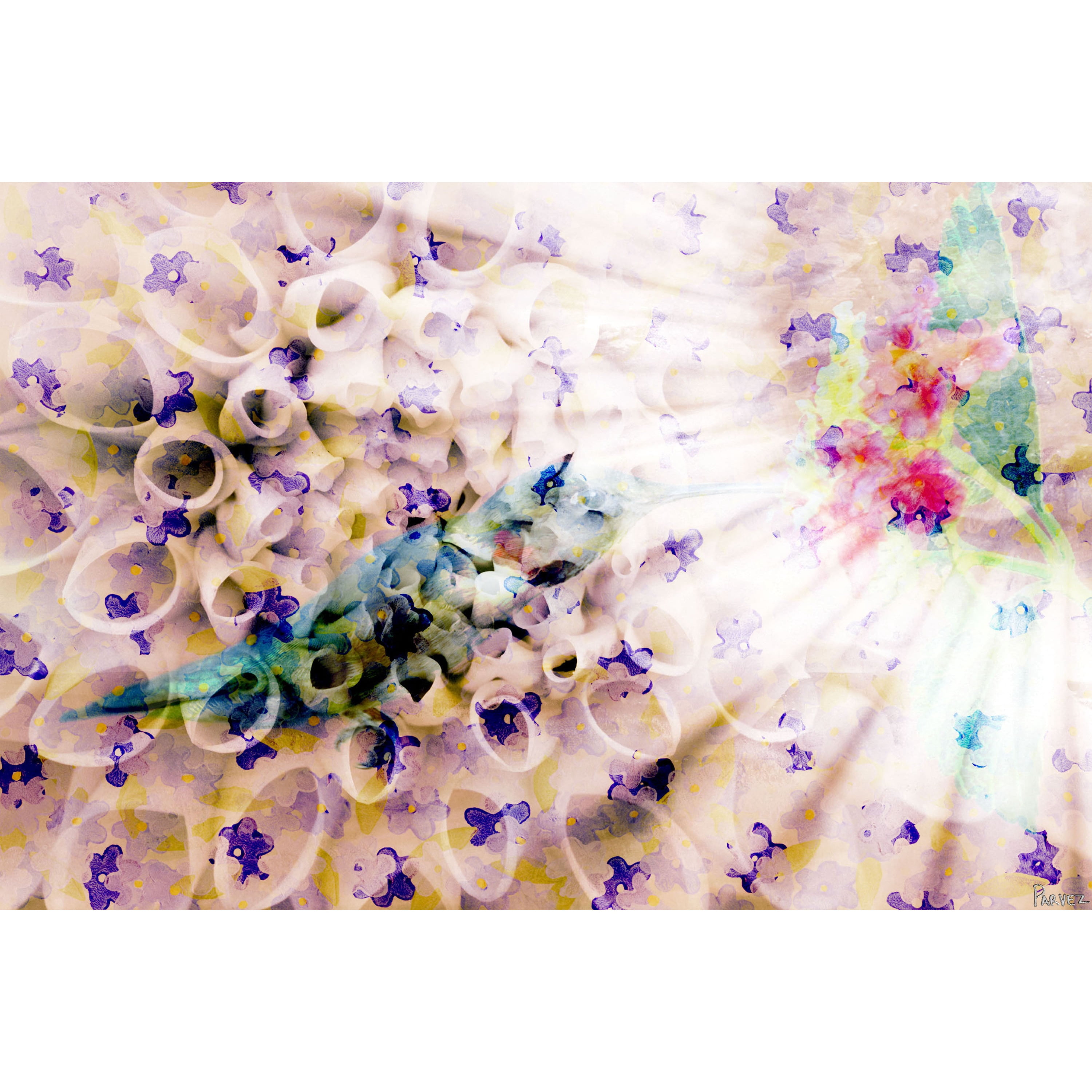 Parvez Taj Weightless Art Print on Premium Canvas
